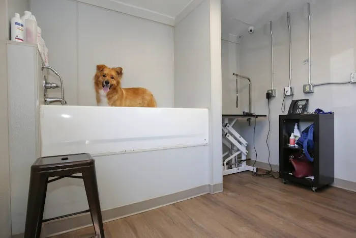 Monroe Animal Care Hospital 3
