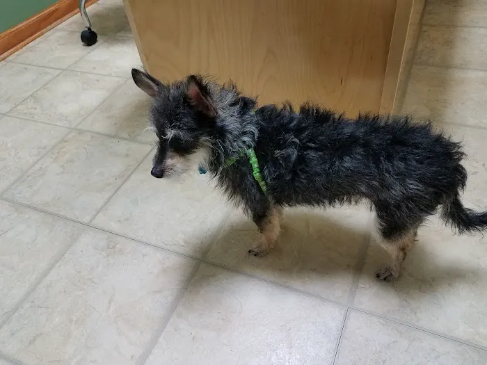 Monroe Animal Care Hospital 9
