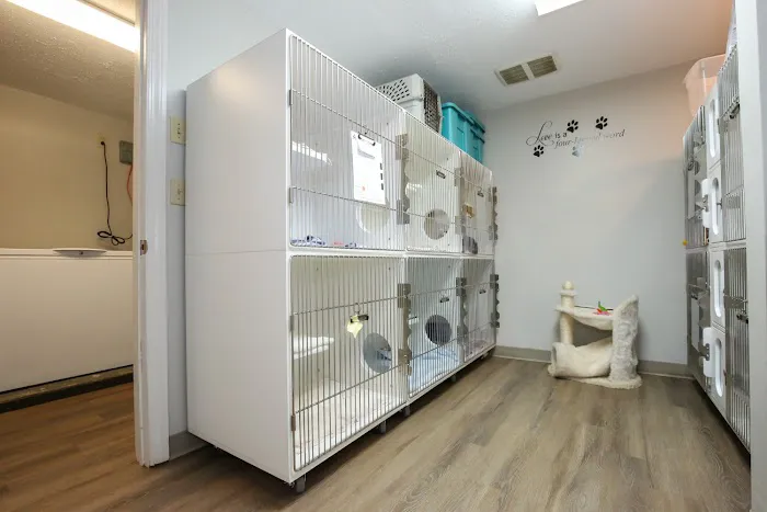 Monroe Animal Care Hospital 6