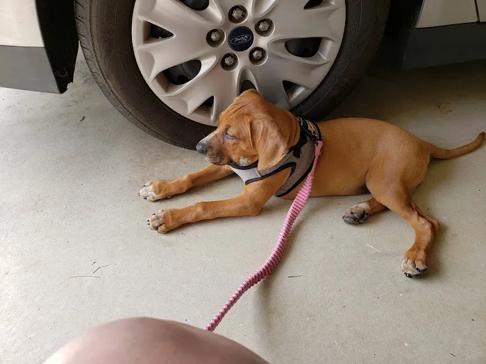 Monroe Veterinary Clinic 12
