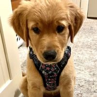 Monroe Veterinary Clinic ico