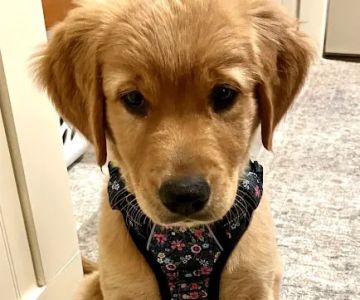 Monroe Veterinary Clinic