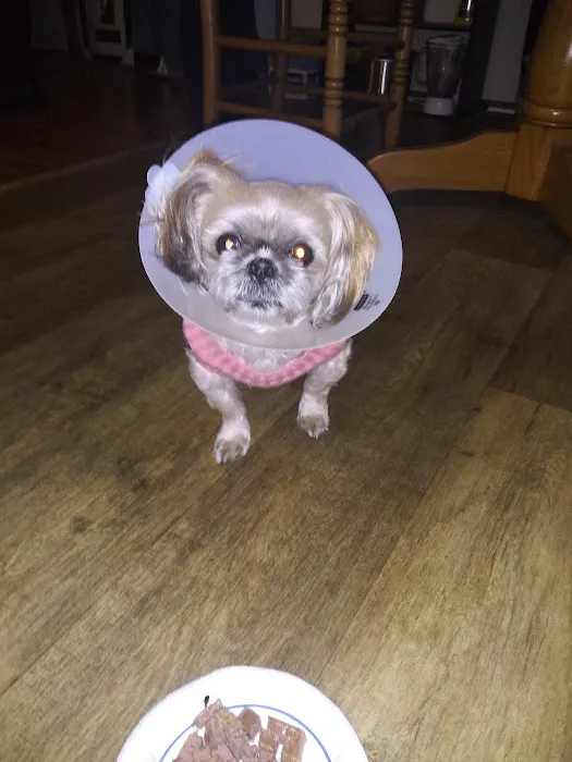 Social Circle Veterinary Hospital 12