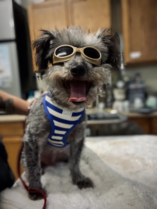 Brown Veterinary Services 3