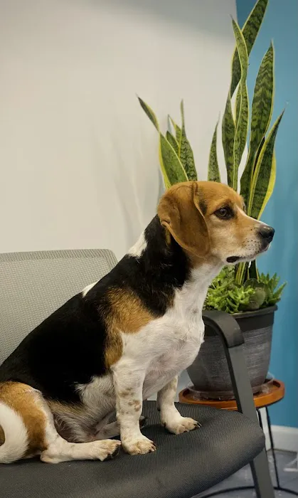 Brown Veterinary Services 1
