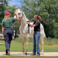 Barrow Veterinary Services ico