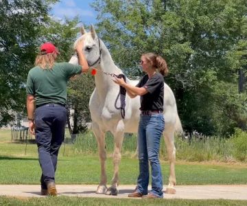 Barrow Veterinary Services