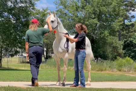 Barrow Veterinary Services