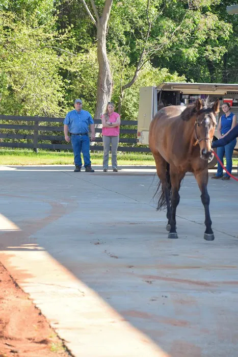 Countryside Equine Hospital 4