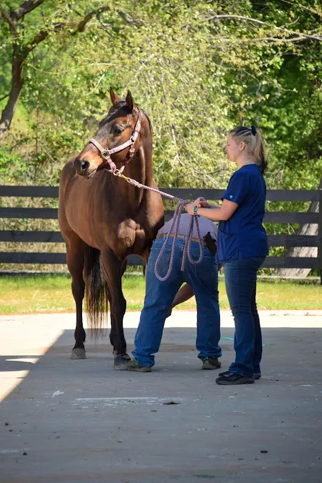 Countryside Equine Hospital 7