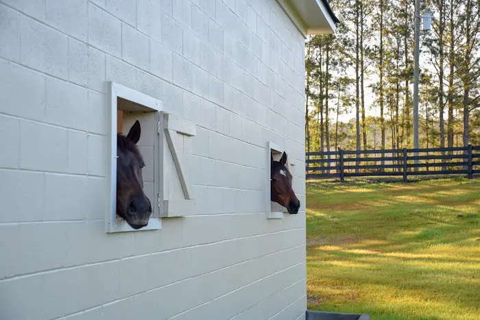 Countryside Equine Hospital 2