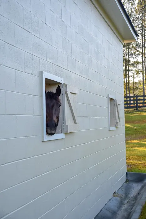 Countryside Equine Hospital 1