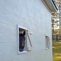 Countryside Equine Hospital ico