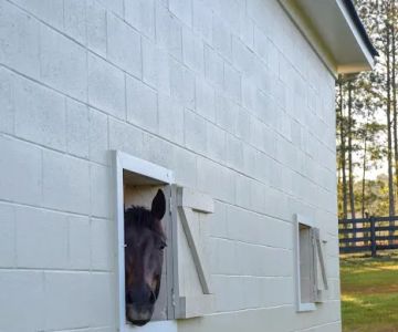 Countryside Equine Hospital
