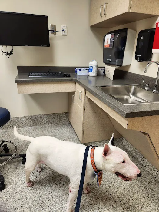 Wilford & Kate Bailey Small Animal Teaching Hospital 6