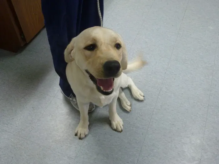 Animal Care Center 12