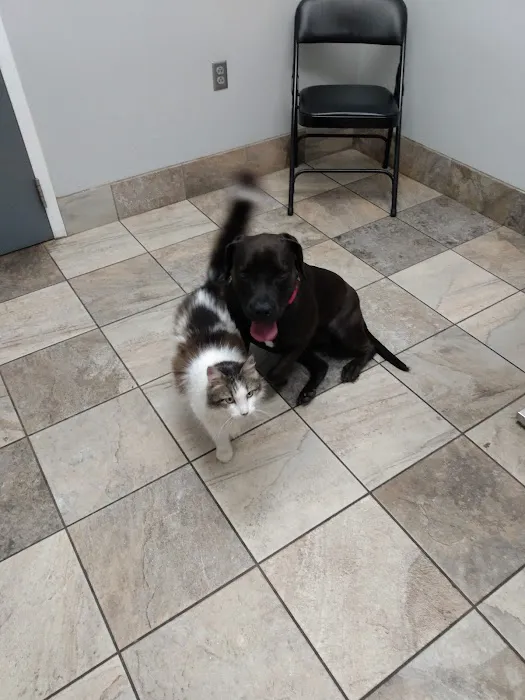 Pet Care Center 12