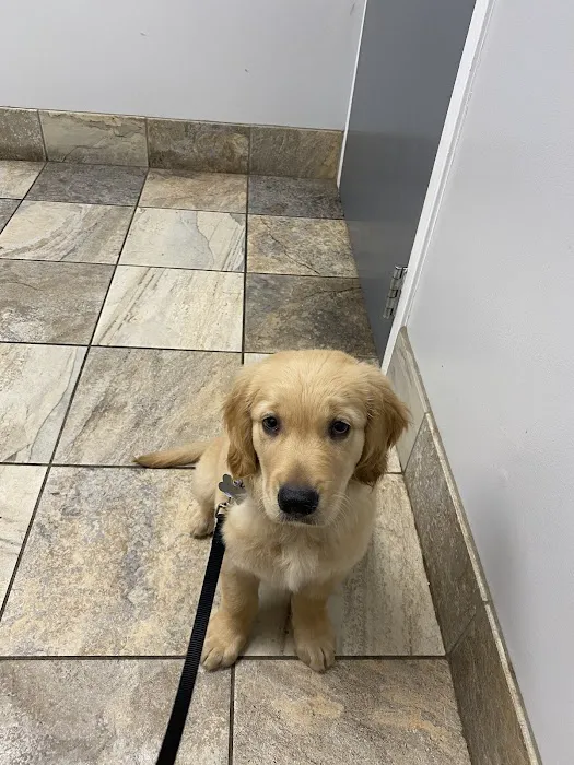 Pet Care Center 12