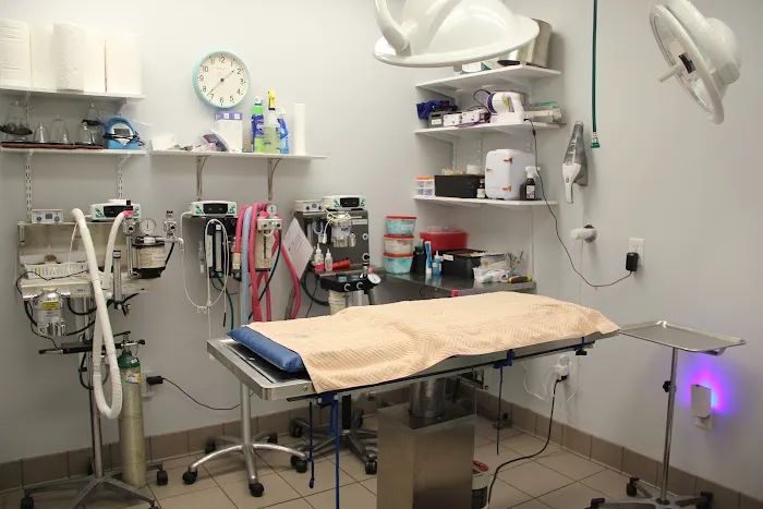 Care More Animal Hospital 8