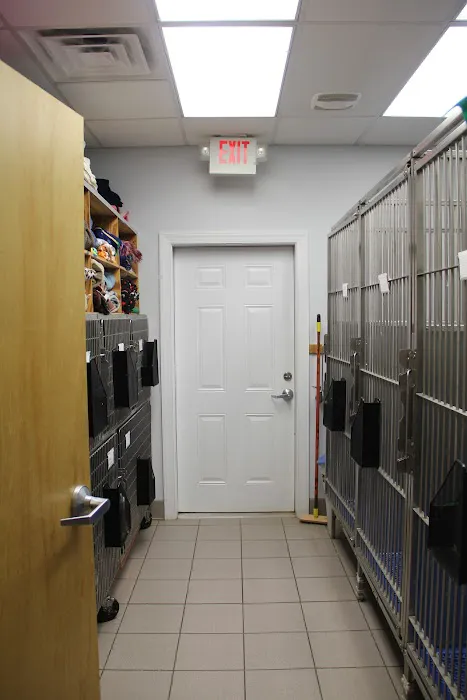 Care More Animal Hospital 10