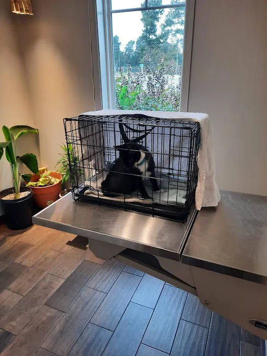 Tribby’s Hill High Animal Hospital 3