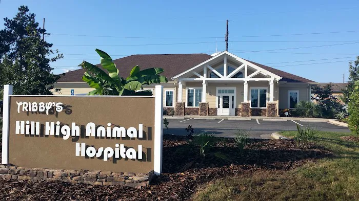 Tribby’s Hill High Animal Hospital 8