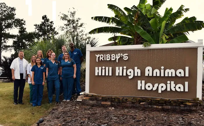 Tribby’s Hill High Animal Hospital 1