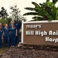Tribby’s Hill High Animal Hospital ico