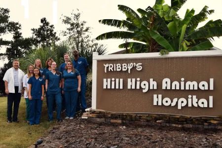 Tribby’s Hill High Animal Hospital