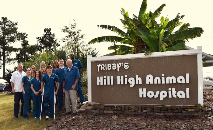 Tribby’s Hill High Animal Hospital 6