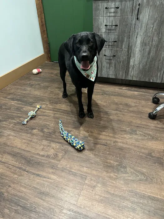 Happy Tails Veterinary Care 9