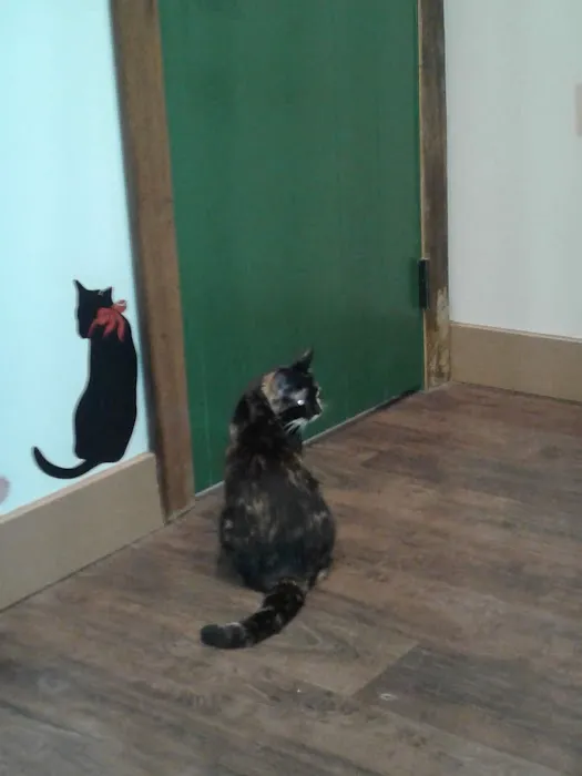 Happy Tails Veterinary Care 4