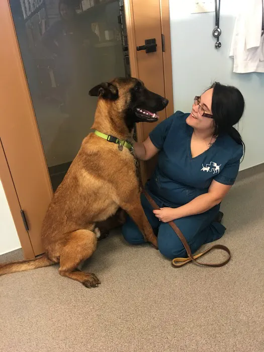Happy Tails Veterinary Care 2
