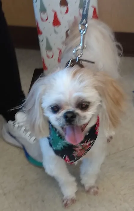Hendricks Animal Clinic Inc 4