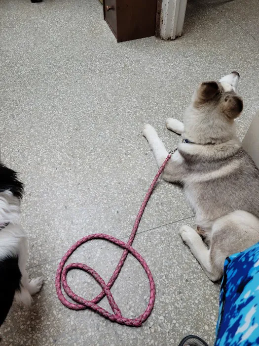 Hendricks Animal Clinic Inc 10
