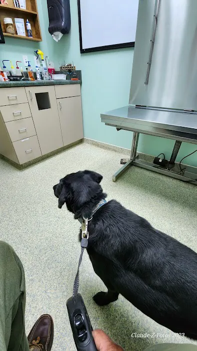 La Grange Veterinary Hospital 7