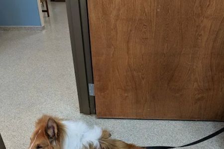 La Grange Veterinary Hospital