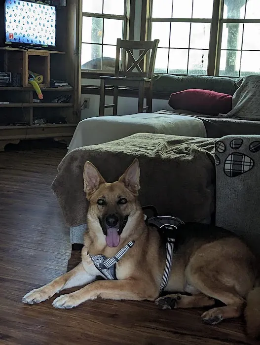 Macon Road Veterinary Clinic 12