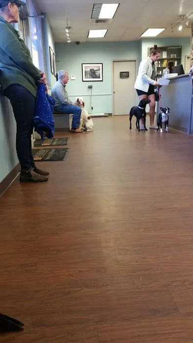 Macon Road Veterinary Clinic 12