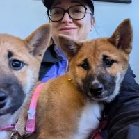 Macon Road Veterinary Clinic ico