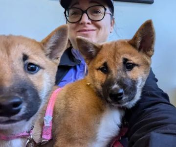 Macon Road Veterinary Clinic