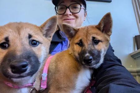 Macon Road Veterinary Clinic