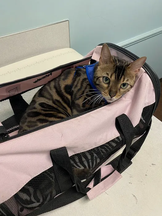 Macon Road Veterinary Clinic 12