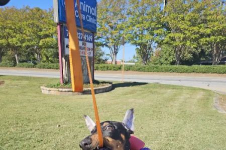 Animal Care Clinic