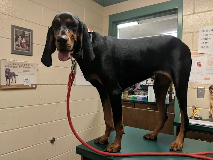 Columbus Veterinary Medical Center 12