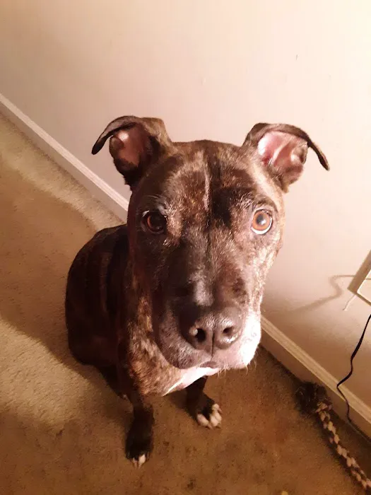 Columbus Veterinary Medical Center 12