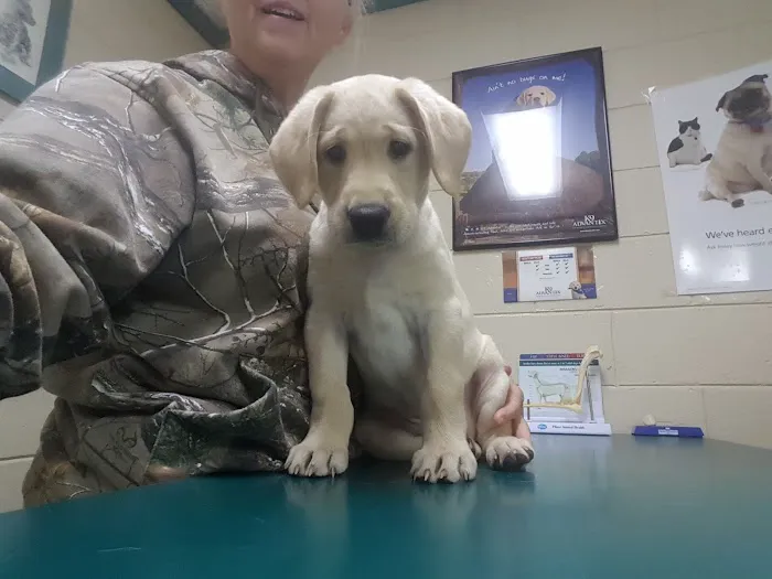 Columbus Veterinary Medical Center 12