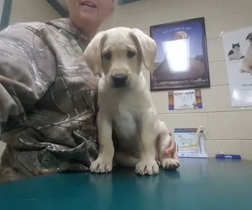Columbus Veterinary Medical Center