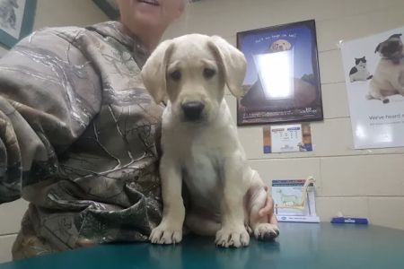 Columbus Veterinary Medical Center