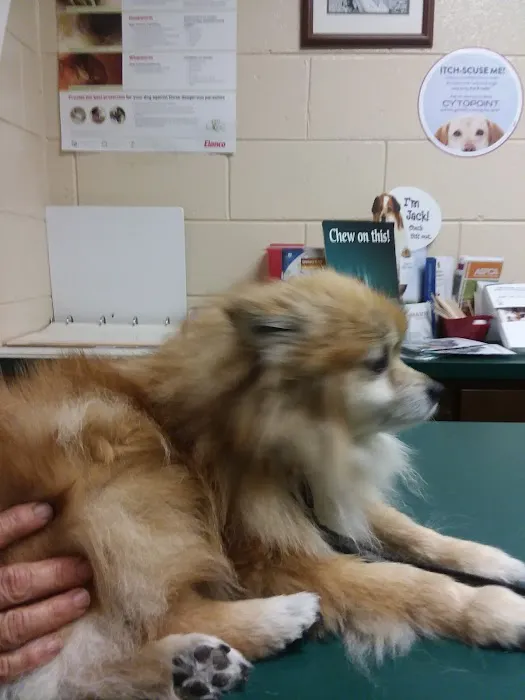 Columbus Veterinary Medical Center 12
